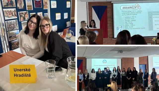 Festival ošetřovatelských kazuistik